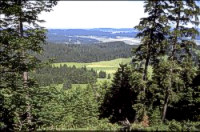 Vue depuis la forêt ® P. Levieux